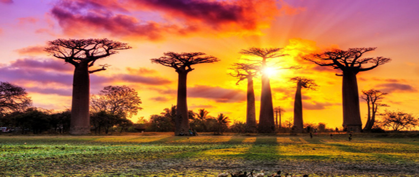 BIENVENUE CHEZ REAL TRAVEL MADAGASCAR